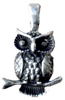 1" Owl Wisdom & Healing Powers amulet