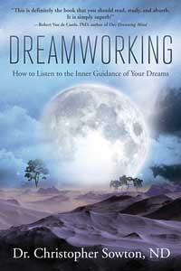 Dreamworking by Christopher Sowton