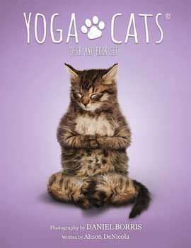 Yoga Cats tarot by Borris & DeNicola